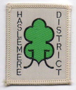 [Haslemere District District Badge]