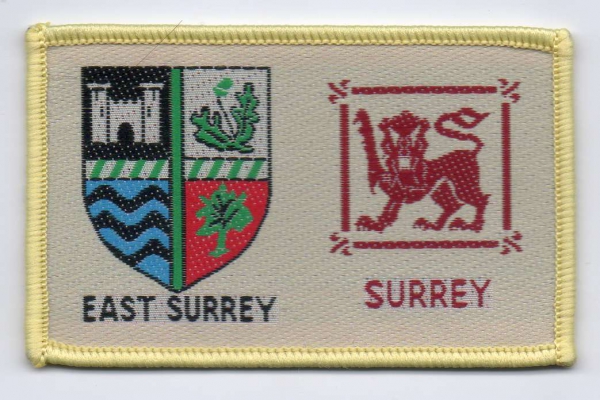 [East Surrey @ District Badge]