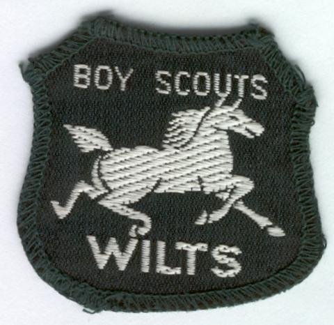 [Wiltshire District Badge]