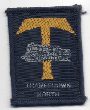 [Thamesdown North District Badge]