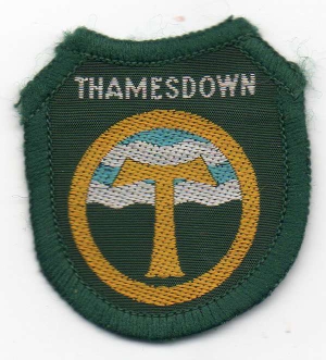 [Thamesdown District Badge]