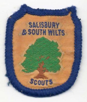 [Salisbury & South Wilts District Badge]