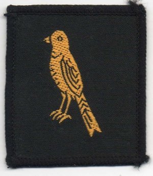 [Finchley, Friern Barnet/Golders Green District Badge]