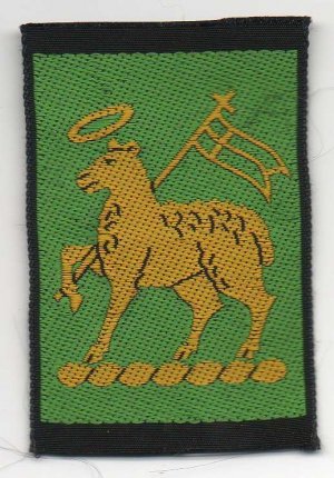 [Lambeth North & Central District District Badge]