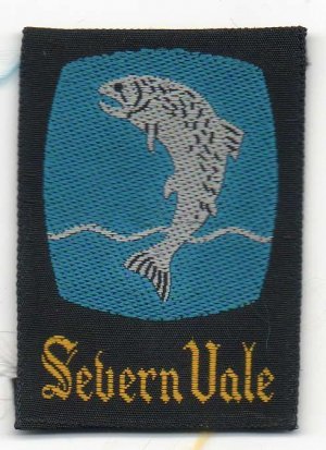 [Severn Vale District Badge]