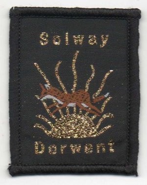 [Solway Derwent District Badge]